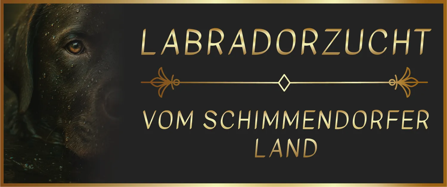Labrador vom Schimmendorfer Land - Logo